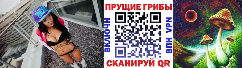 kraken ССЫЛКА  Волгоград  Псилоцибиновые грибы Cubensis 