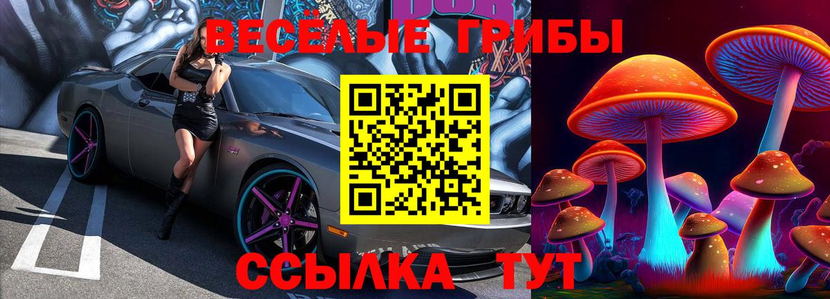 Волгоград  Галлюциногенные грибы мицелий  Вход с VPN 